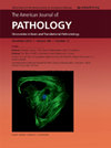 AMERICAN JOURNAL OF PATHOLOGY雜志封面
